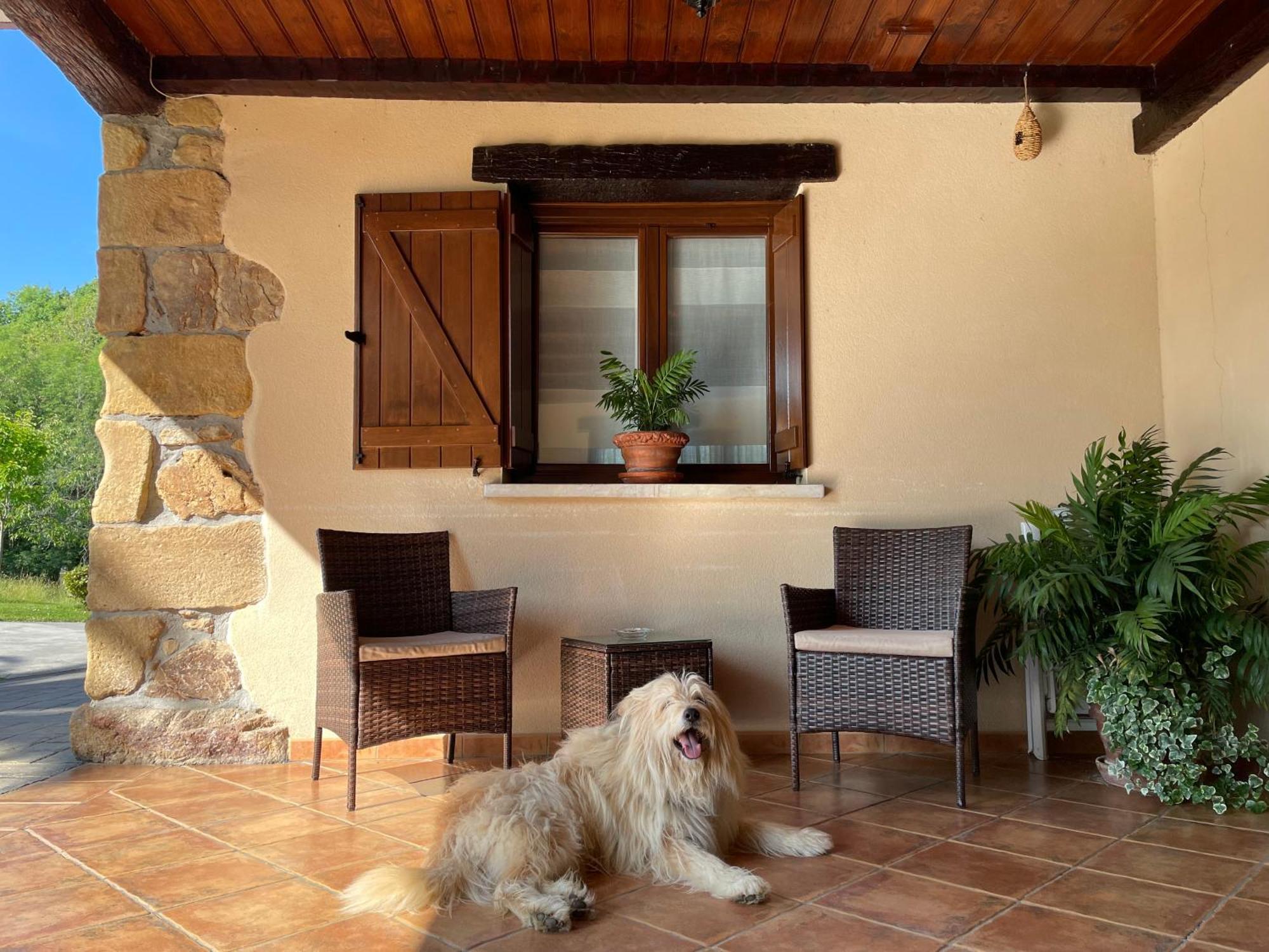 Agroturismo Erretegi Haundi Oiartzun Exterior foto